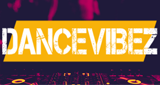 Logo Dance Vibez