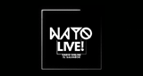 Logo Nayo Live!