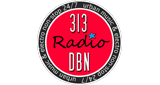 Logo 313 DBN Radio