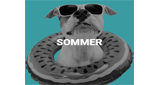 Logo delta radio Sommer