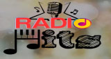 Logo Radio Hits