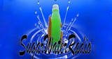 Logo Sugar Water Radio
