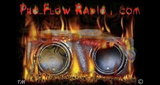 Logo Pro Flow Radio