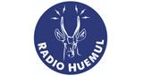 Logo Radio Huemul