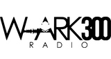 Logo W-ARK 300