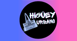 Logo Higuey Urbano