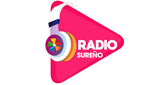 Logo Radio Folklore Nacional 105.1 Fm