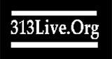 Logo 313 Live.Org