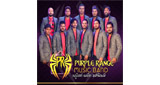 Logo Purple Range Live Show