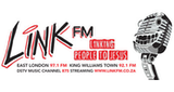Logo Link FM