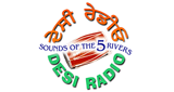 Logo Desi Radio
