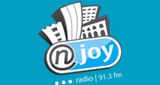 Logo Radio NJOY 91.3