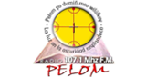 Logo Radio Pelom