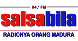 Logo 94.1 Salsabila FM