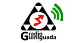 Logo Radio Guiniguada