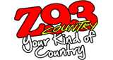 Logo Z 93 - WMKZ