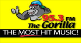 Logo 95.3 The Gorilla