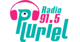 Logo Radio Pluriel FM