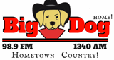 Logo Big Dog 98.9/1340