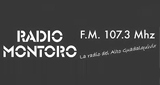 Logo Radio Montoro