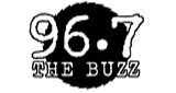 Logo 96.7 The Buzz - WSUB-LP