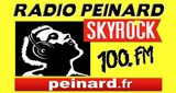 Logo Radio Peinard Skyrock