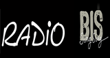 Logo Radio Sing Sing