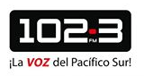 Logo La VOZ del Pacífico Sur