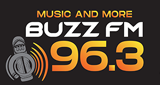 Logo 96 Buzz FM