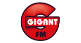 Logo Gigant FM