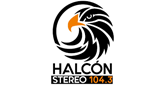 Logo Halcon Stereo