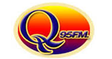 Logo Wice QFM
