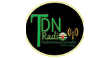 Logo Tdn Radio