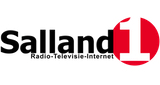 Logo Salland1