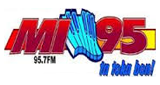 Logo Mi 95