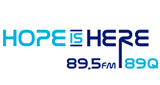 Logo 89-Q