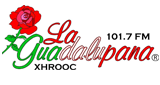 Logo La Guadalupana