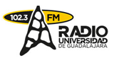 Logo UDG Radio