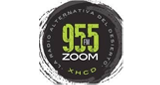 Logo Zoom95