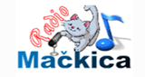 Logo Radio Mackica - Zabavna Muzika