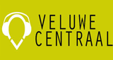 Logo Veluwe Centraal