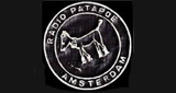 Logo Radio Patapoe FM