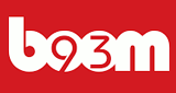 Logo Boom 93