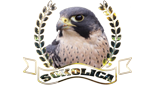 Logo Radio Sokolica