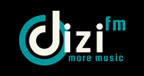 Logo DiZi FM
