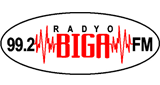 Logo Biga FM