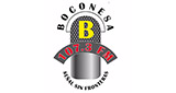Logo Boconesa 107.3 FM