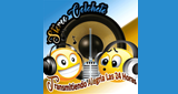 Logo Stereo Colohete