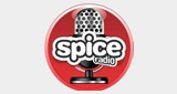 Logo Spice Radio