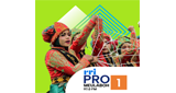 Logo RRI Pro 1 - Meulaboh